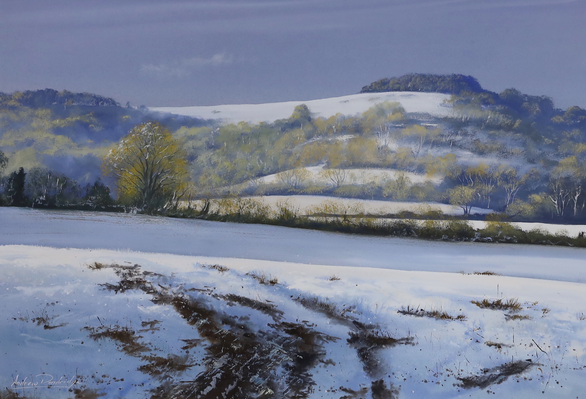 Andrew Dandridge (b.1953) gouache, 'Chanctonbury, Winter', signed, 56cm x 39cm